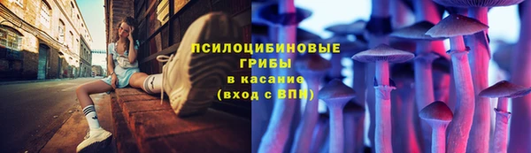 крисы Белоозёрский