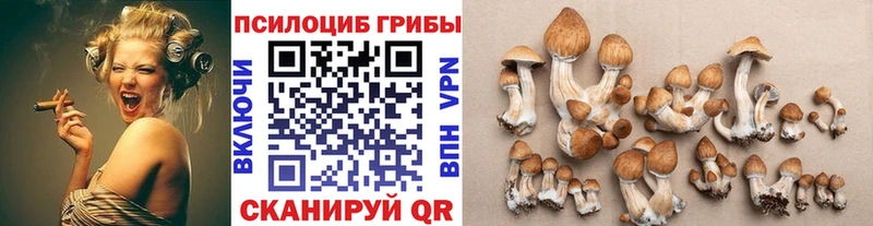 гидра ссылки  Светлый  Псилоцибиновые грибы ЛСД 